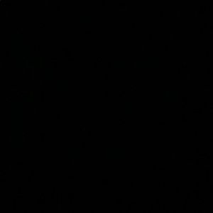 Meet your Posher, Emilie